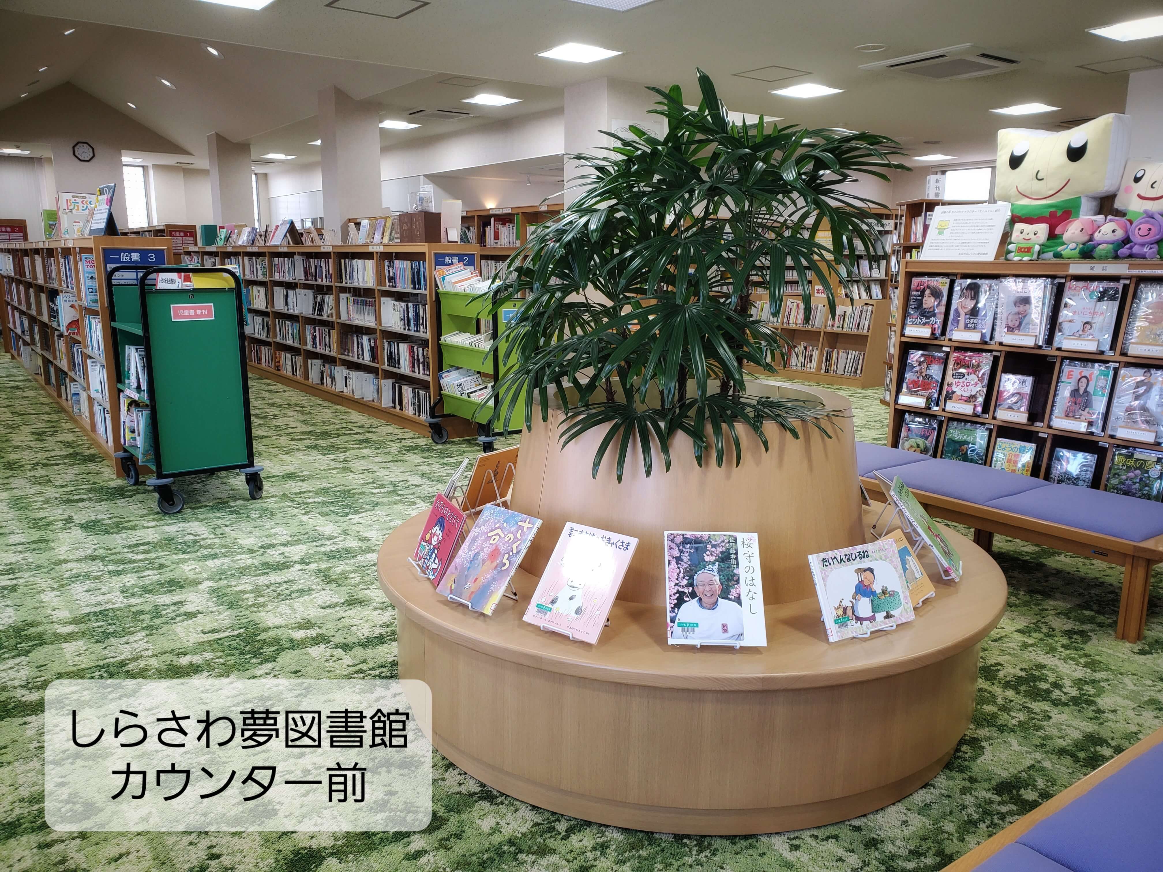 テーマ展示１