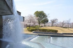 みずいろ公園　滝と桜