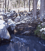 岩井の清水の画像