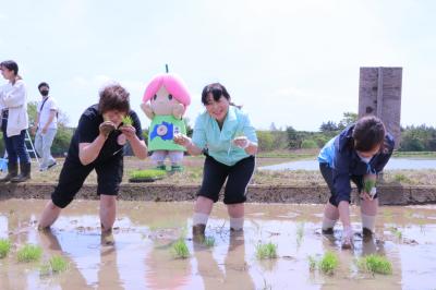 まゆみ姫田植えイベント